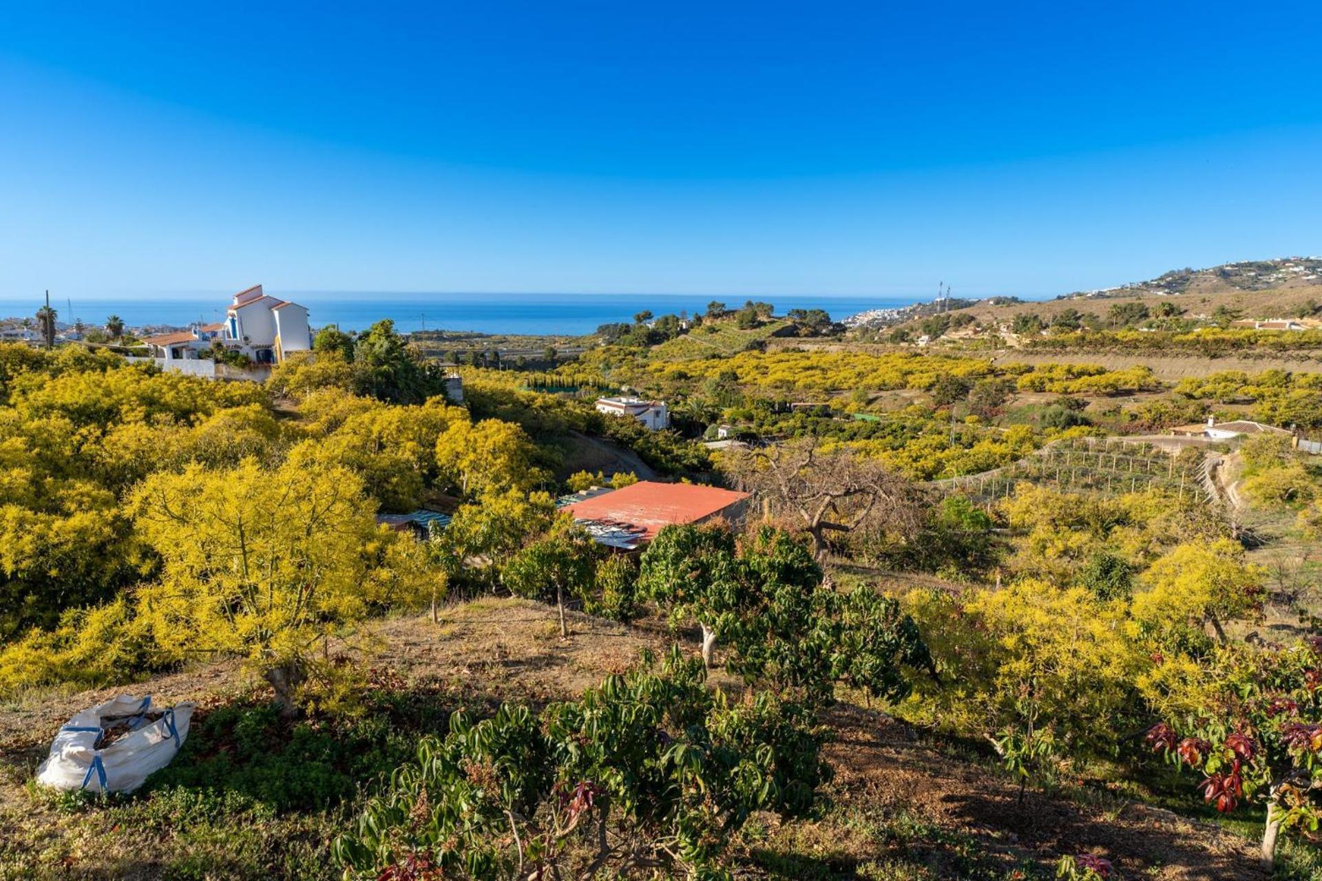 Casa Herrero 네르하 외부 사진